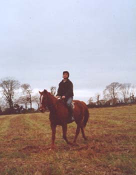 horse